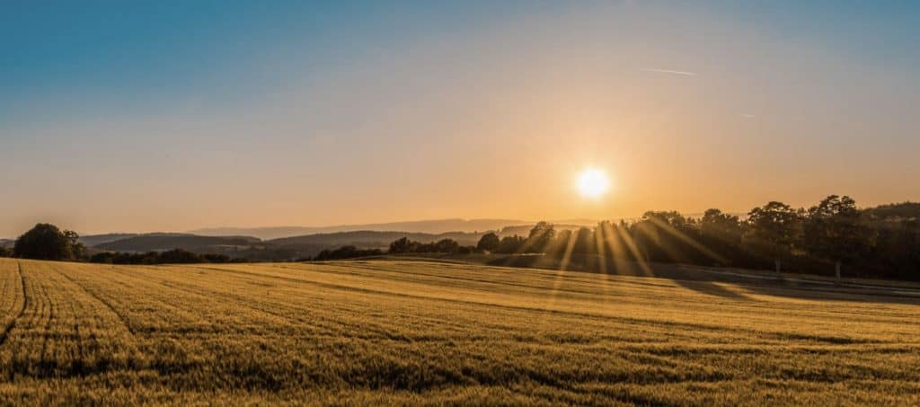Champs seine et marne ile-de-france